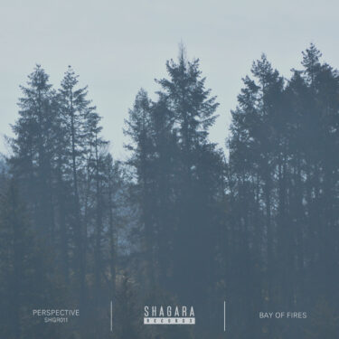 Perspective EP Perspective EP
